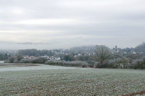 Weihnachtsbaum an der Weingartenkapelle